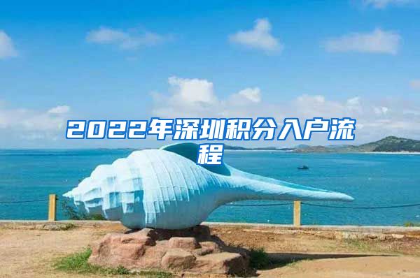2022年深圳积分入户流程