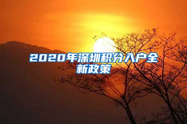 2020年深圳积分入户全新政策