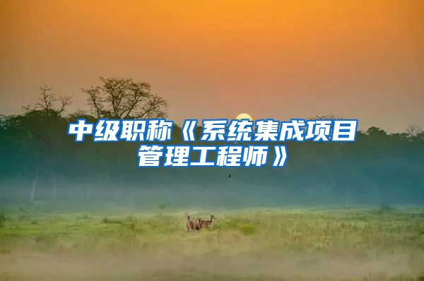 中级职称《系统集成项目管理工程师》