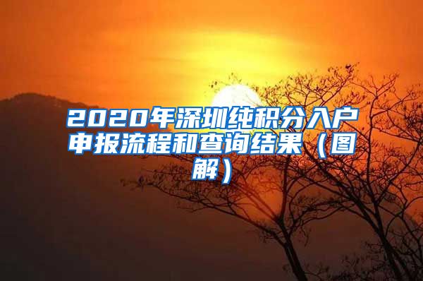 2020年深圳纯积分入户申报流程和查询结果（图解）