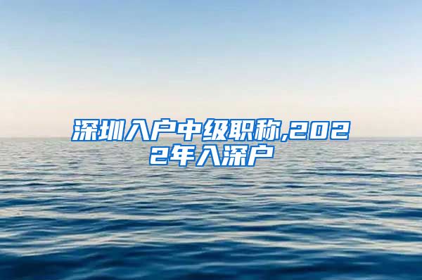 深圳入户中级职称,2022年入深户