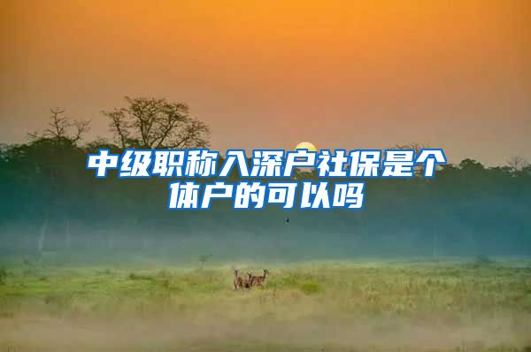 中级职称入深户社保是个体户的可以吗