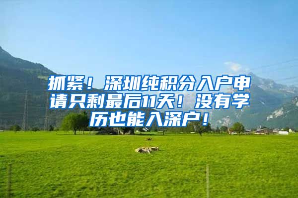 抓紧！深圳纯积分入户申请只剩最后11天！没有学历也能入深户！