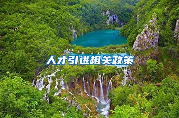 人才引进相关政策
