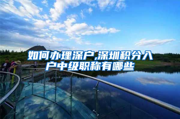如何办理深户,深圳积分入户中级职称有哪些
