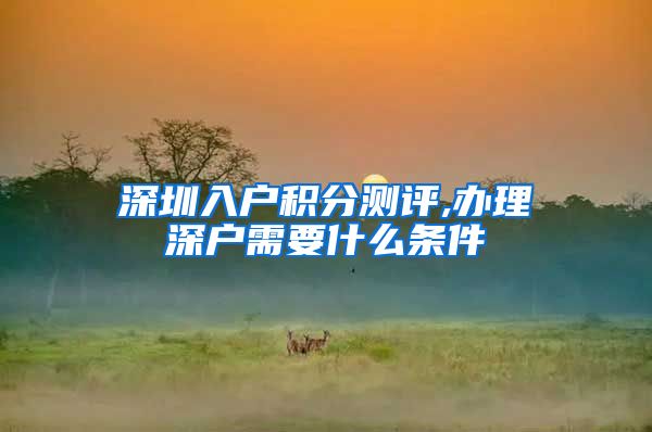 深圳入户积分测评,办理深户需要什么条件