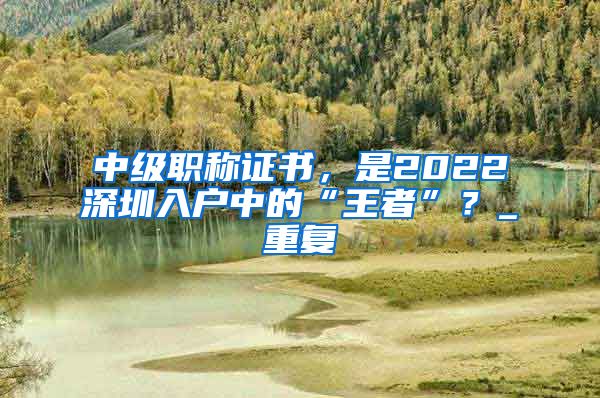 中级职称证书，是2022深圳入户中的“王者”？_重复