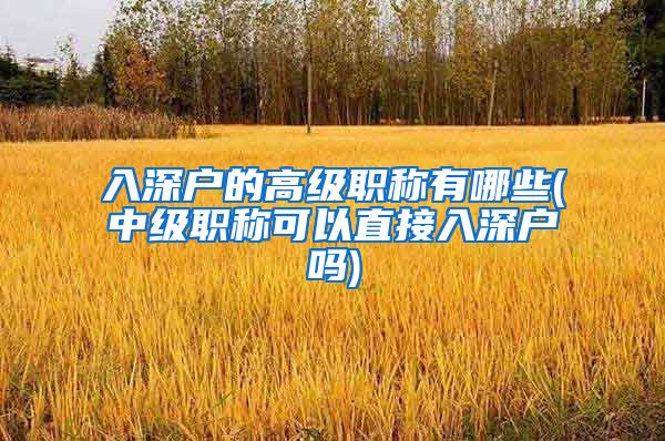 入深户的高级职称有哪些(中级职称可以直接入深户吗)