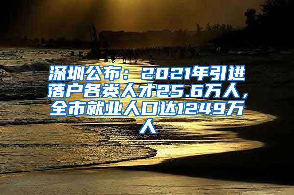 深圳公布：2021年引进落户各类人才25.6万人，全市就业人口达1249万人