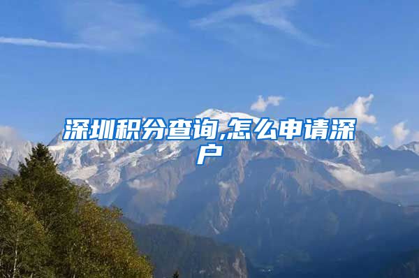深圳积分查询,怎么申请深户