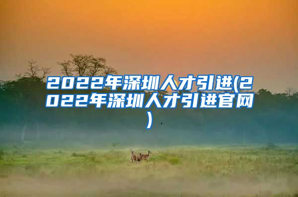 2022年深圳人才引进(2022年深圳人才引进官网)