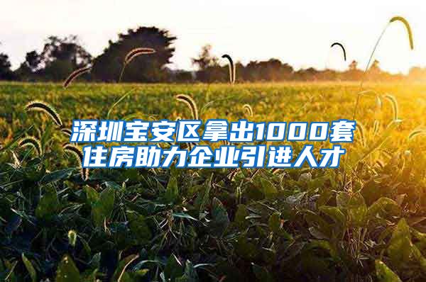 深圳宝安区拿出1000套住房助力企业引进人才