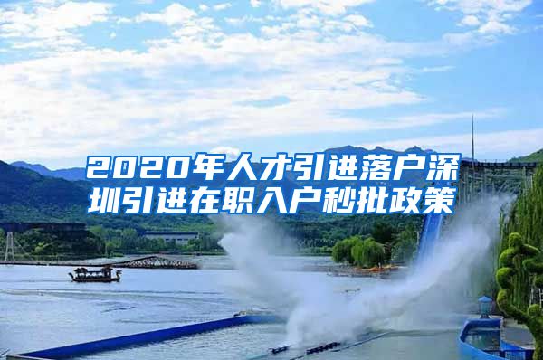 2020年人才引进落户深圳引进在职入户秒批政策