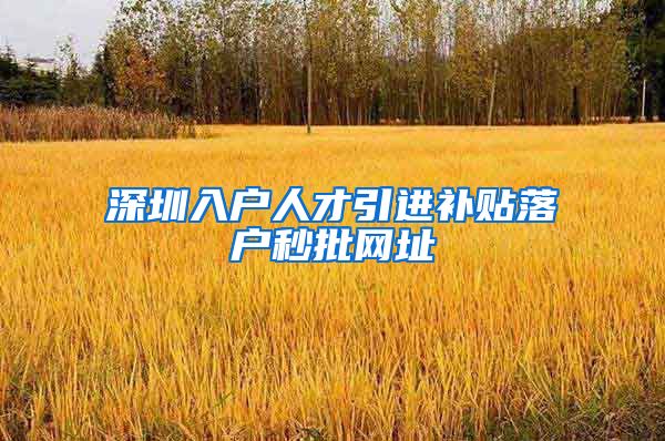 深圳入户人才引进补贴落户秒批网址