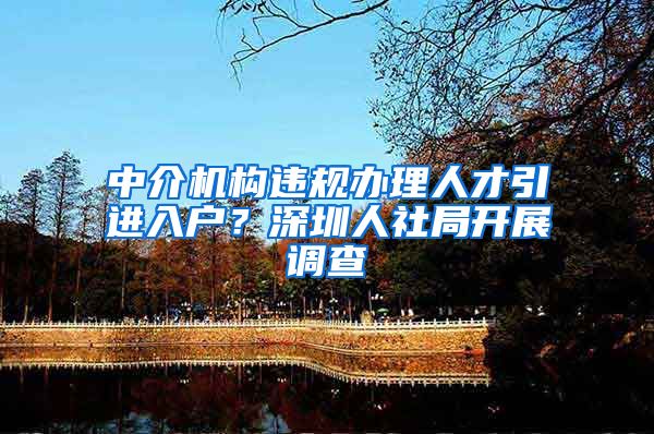 中介机构违规办理人才引进入户？深圳人社局开展调查