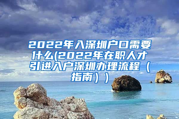 2022年入深圳户口需要什么(2022年在职人才引进入户深圳办理流程（指南）)