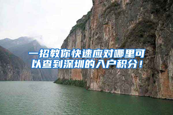 一招教你快速应对哪里可以查到深圳的入户积分！