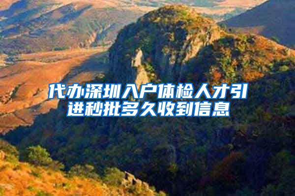 代办深圳入户体检人才引进秒批多久收到信息