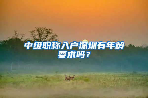 中级职称入户深圳有年龄要求吗？