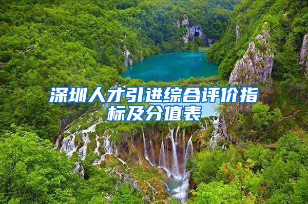 深圳人才引进综合评价指标及分值表