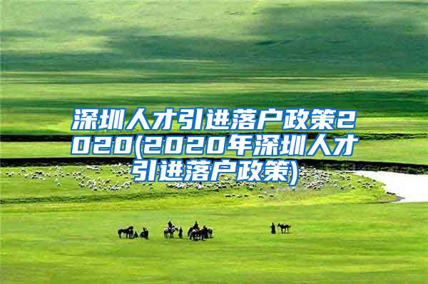 深圳人才引进落户政策2020(2020年深圳人才引进落户政策)
