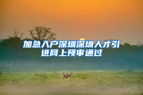 加急入户深圳深圳人才引进网上预审通过