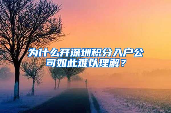 为什么开深圳积分入户公司如此难以理解？