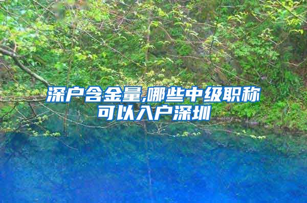 深户含金量,哪些中级职称可以入户深圳