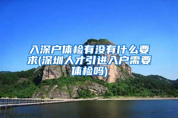 入深户体检有没有什么要求(深圳人才引进入户需要体检吗)