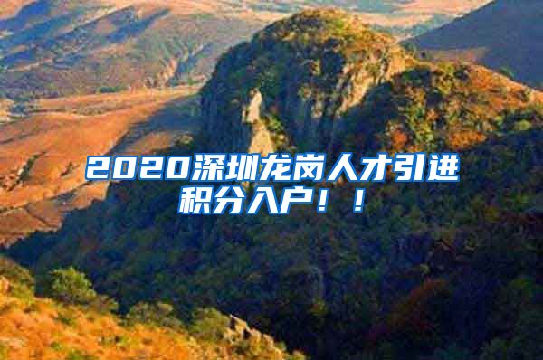 2020深圳龙岗人才引进积分入户！！