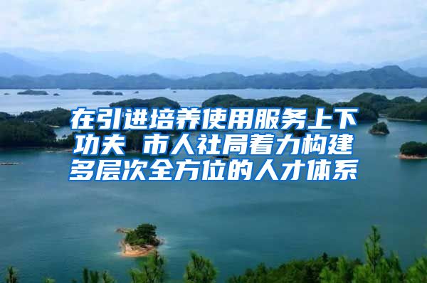 在引进培养使用服务上下功夫 市人社局着力构建多层次全方位的人才体系