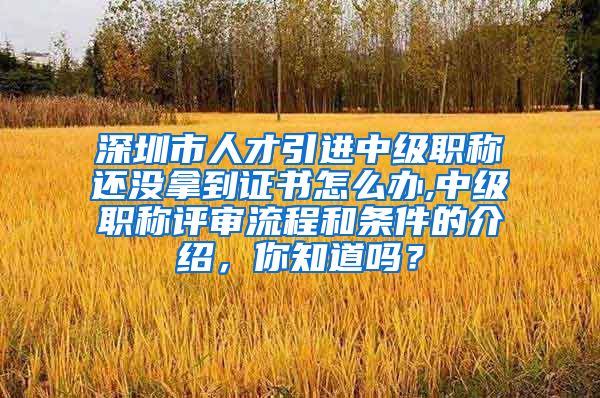 深圳市人才引进中级职称还没拿到证书怎么办,中级职称评审流程和条件的介绍，你知道吗？