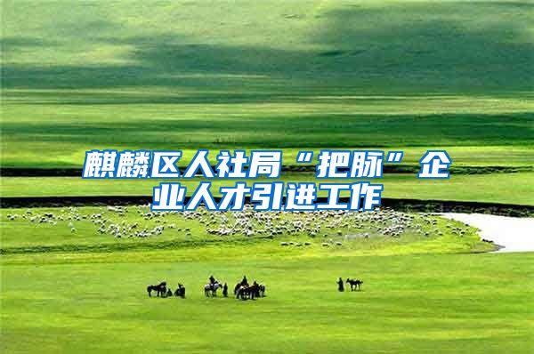麒麟区人社局“把脉”企业人才引进工作