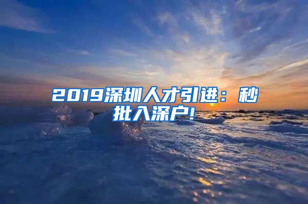 2019深圳人才引进：秒批入深户!