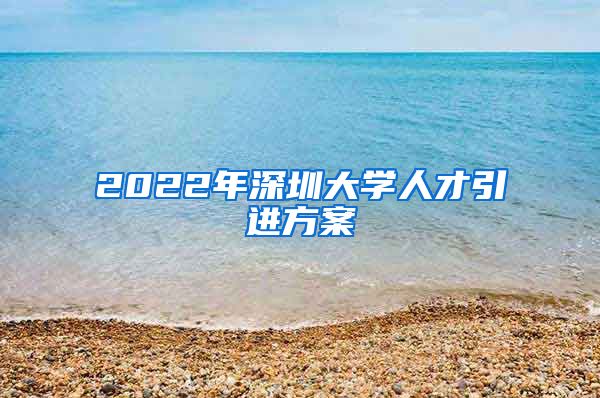 2022年深圳大学人才引进方案