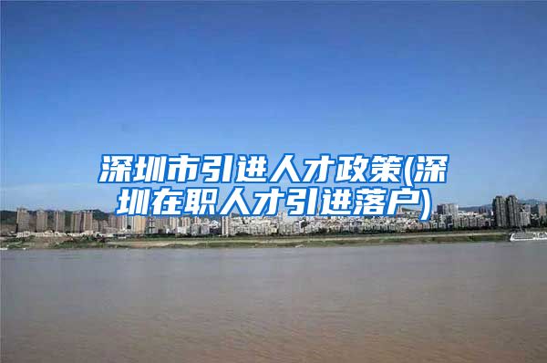 深圳市引进人才政策(深圳在职人才引进落户)