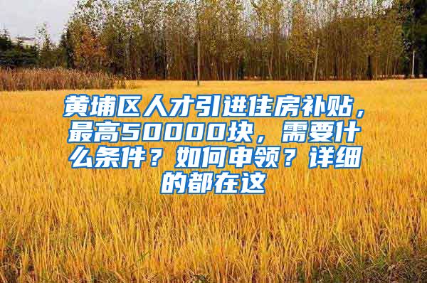 黄埔区人才引进住房补贴，最高50000块，需要什么条件？如何申领？详细的都在这