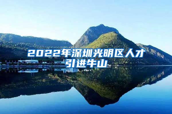 2022年深圳光明区人才引进牛山