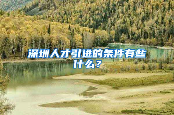 深圳人才引进的条件有些什么？