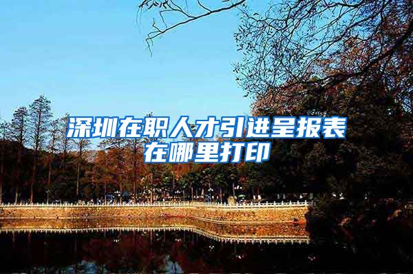 深圳在职人才引进呈报表在哪里打印