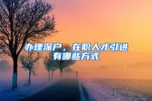 办理深户，在职人才引进有哪些方式