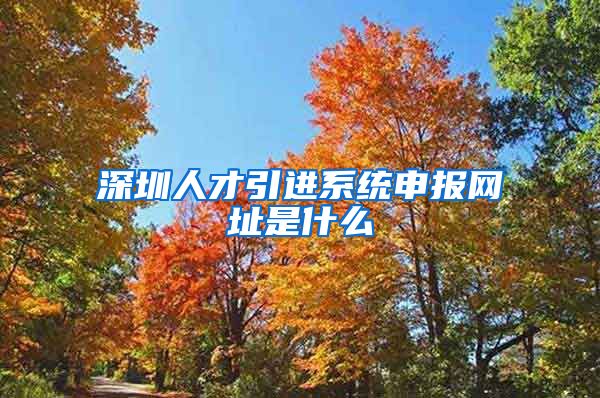 深圳人才引进系统申报网址是什么