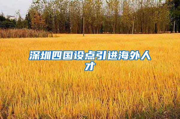 深圳四国设点引进海外人才