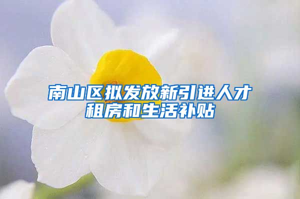 南山区拟发放新引进人才租房和生活补贴