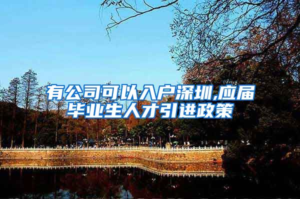 有公司可以入户深圳,应届毕业生人才引进政策