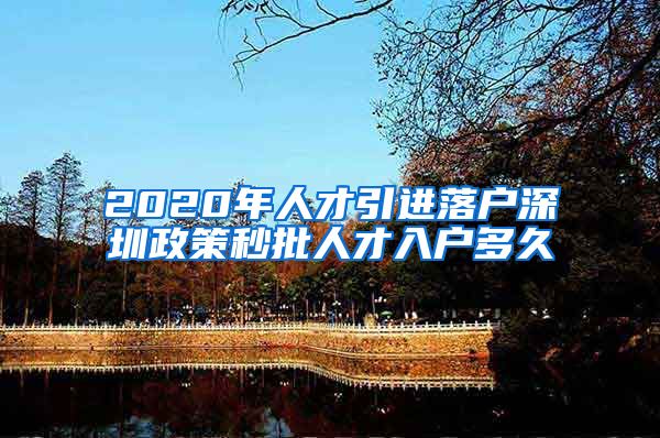 2020年人才引进落户深圳政策秒批人才入户多久