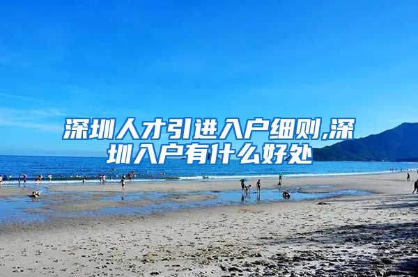 深圳人才引进入户细则,深圳入户有什么好处