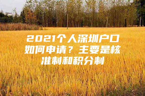 2021个人深圳户口如何申请？主要是核准制和积分制