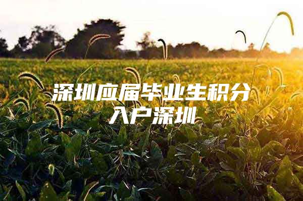 深圳应届毕业生积分入户深圳