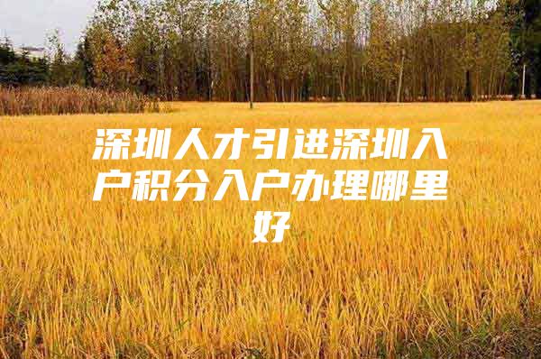 深圳人才引进深圳入户积分入户办理哪里好